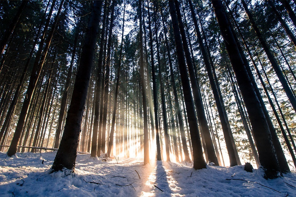 Der Ursprung von Weihnachten. Die Wintersonnenwende.